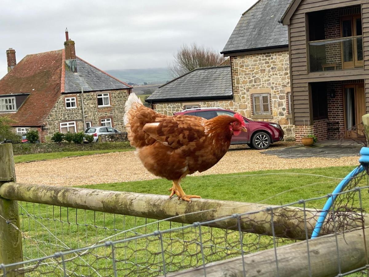 Surf Shack - Impeccable 1-Bed Cottage In Shorwell Bagian luar foto
